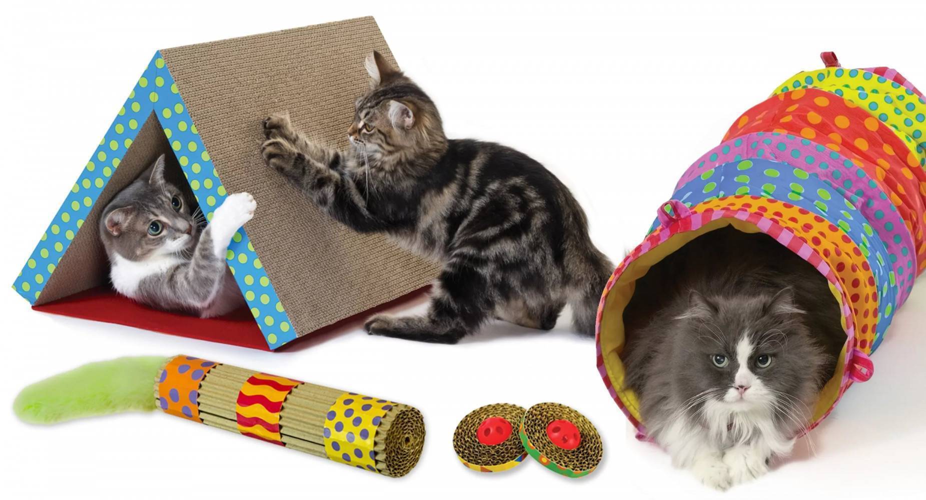 The Best Cat Toys