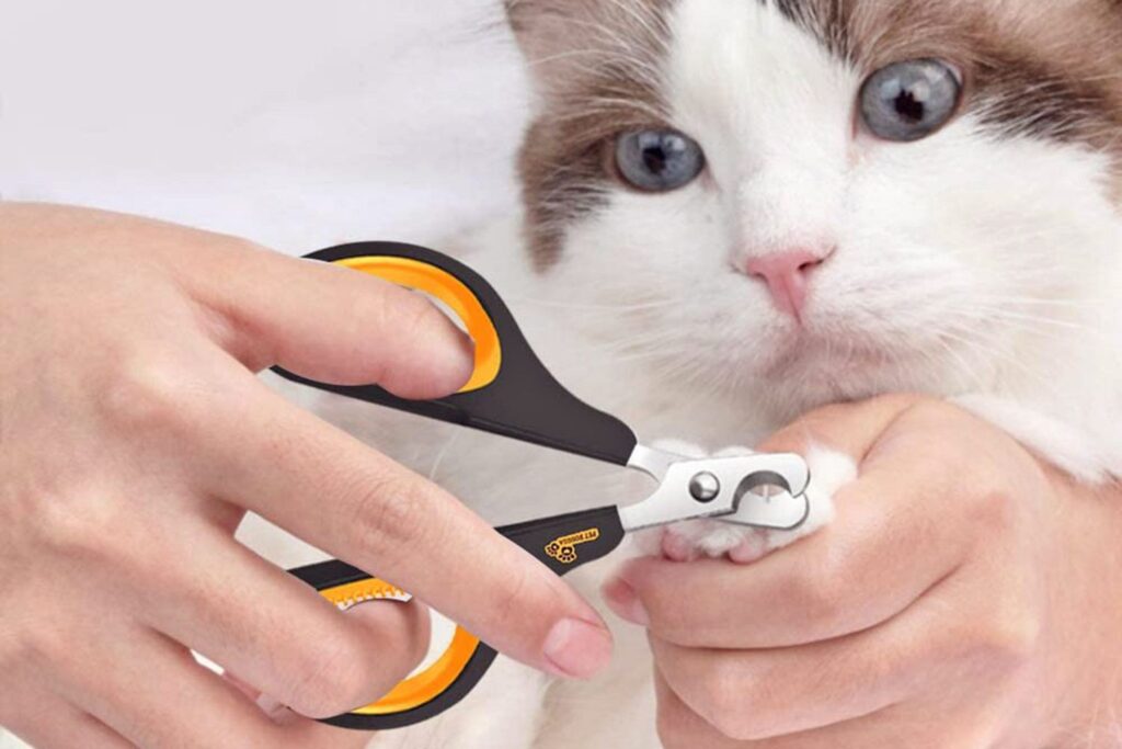 Nail Clippers for Cats