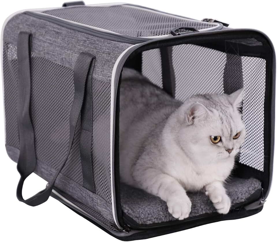 Pet Carriers for Cats