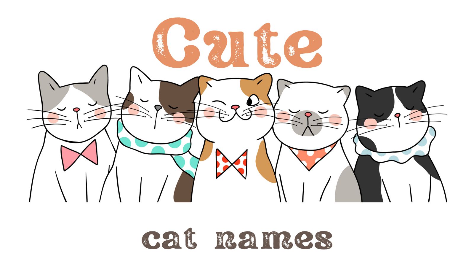 200+ Cute Cat Names