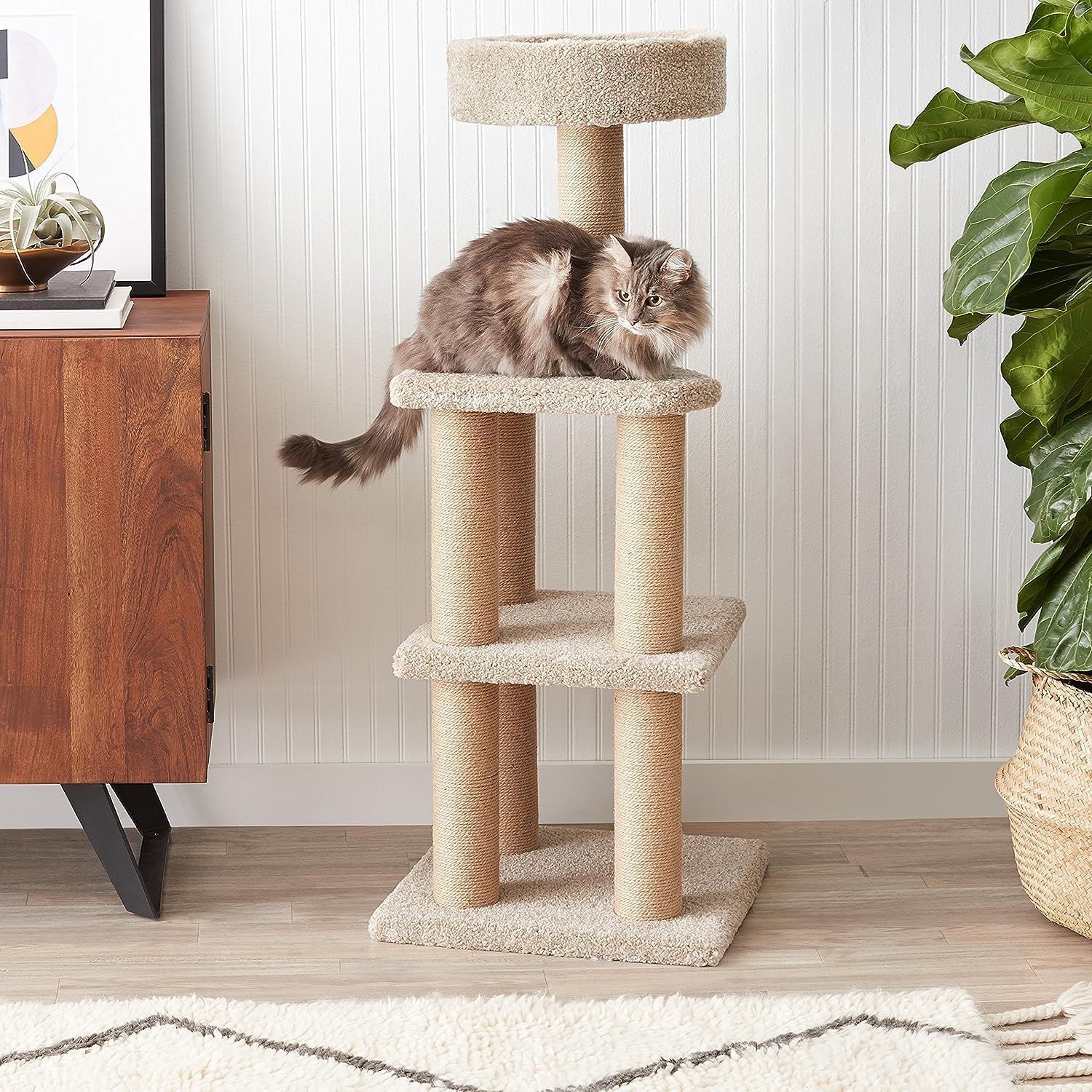 Understanding Cat Tree