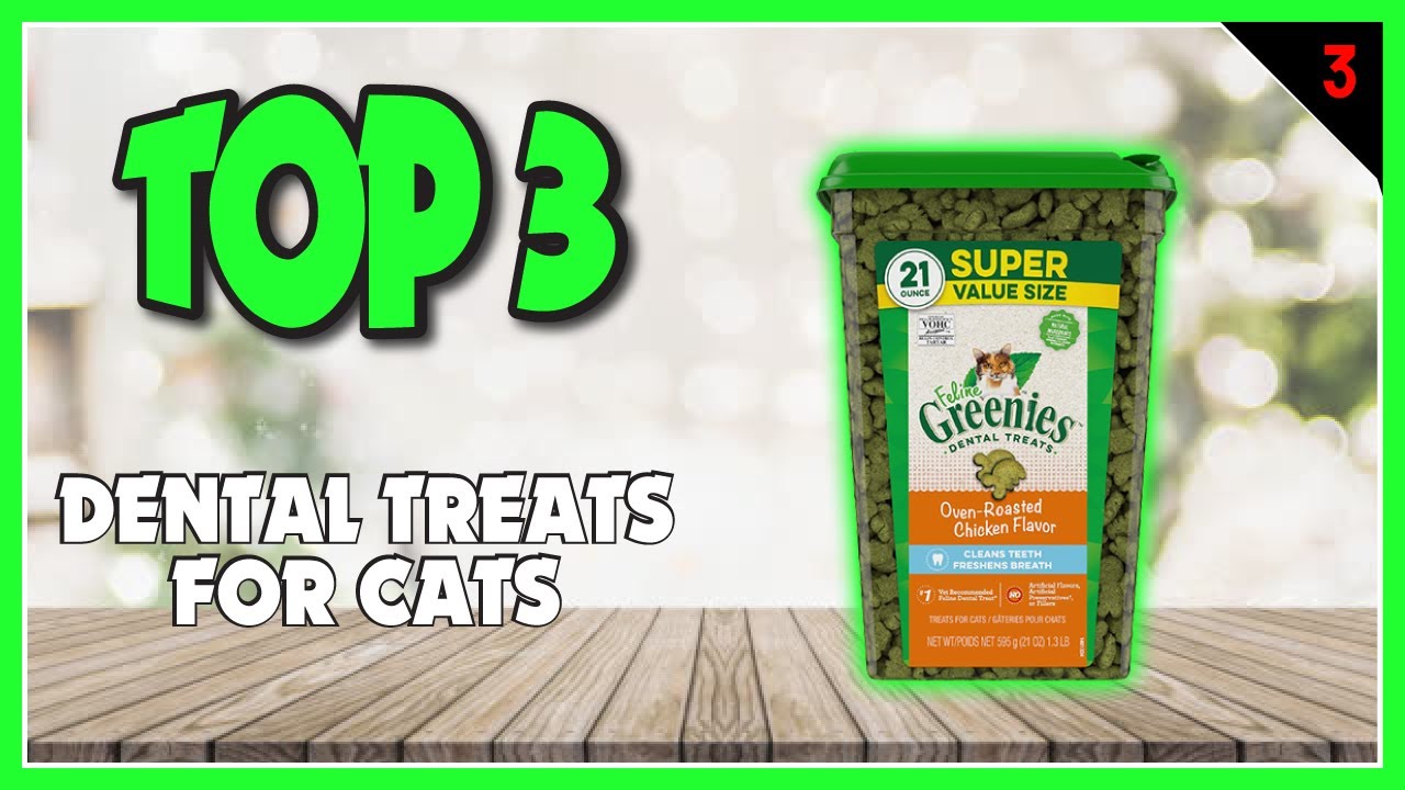 Best Cat Dental Treats in 2025